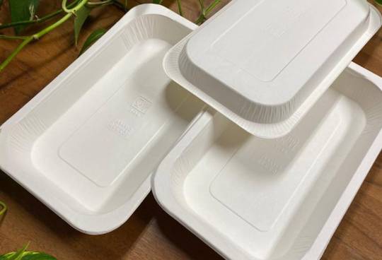 Termoformatura della CARTA...oltre la plastica